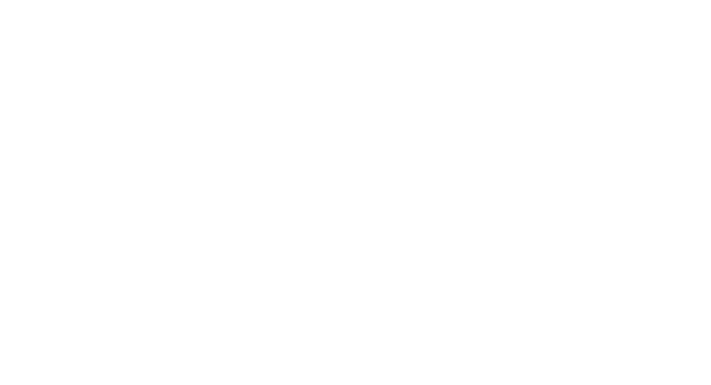 Flybag